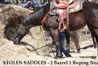 STOLEN SADDLES - 2 Barrel 1 Roping Near rockport, TX, 78382